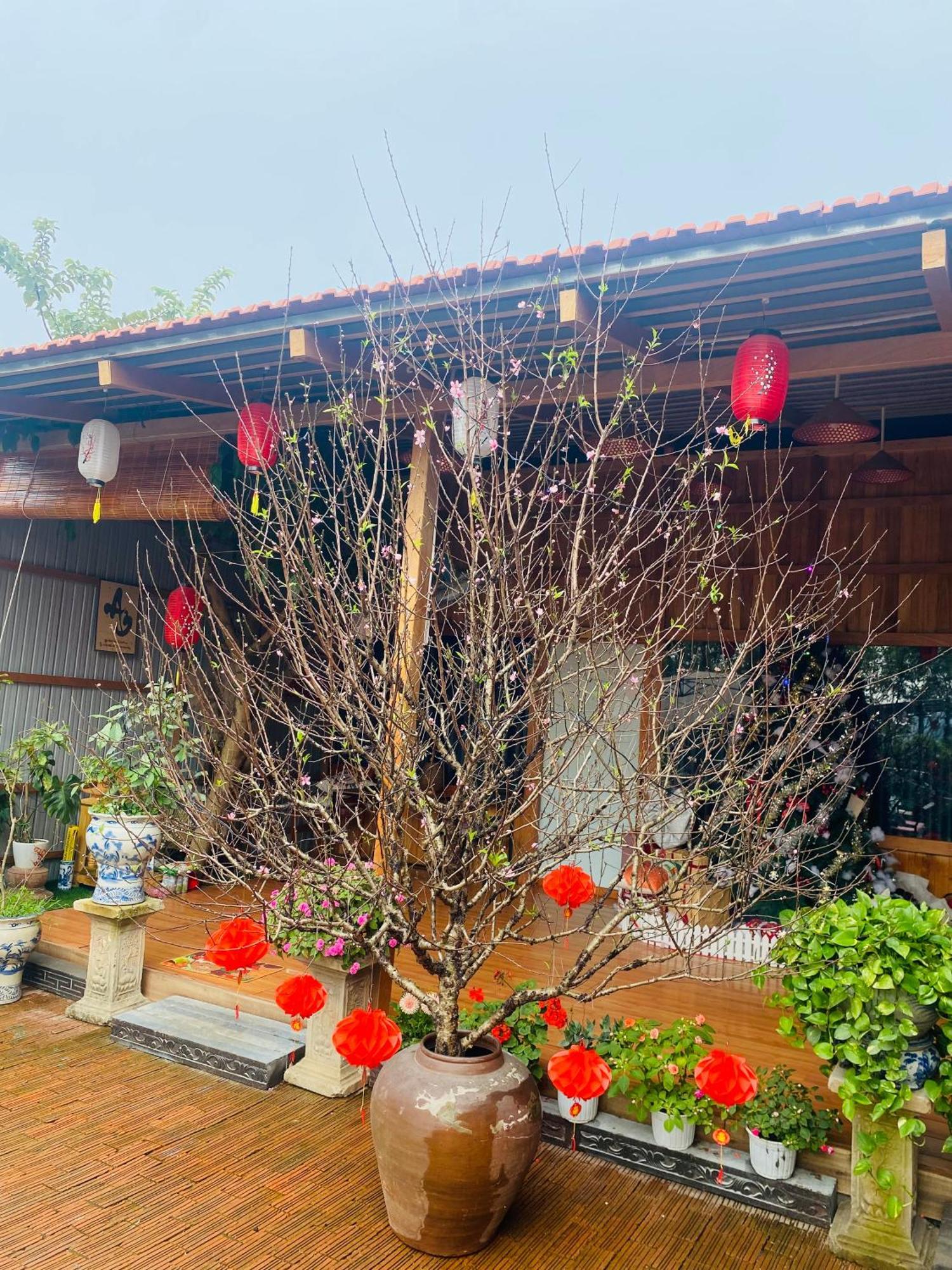 An Homestay Tam Coc Ninh Bình Kültér fotó